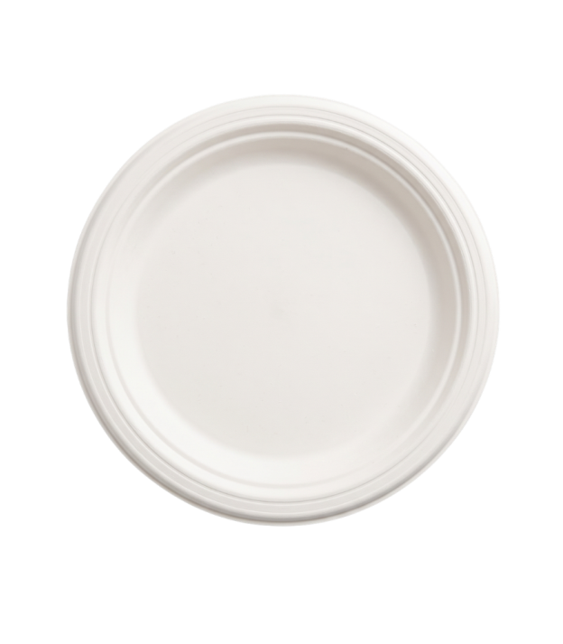 12 Inch Round Plate No Compartments